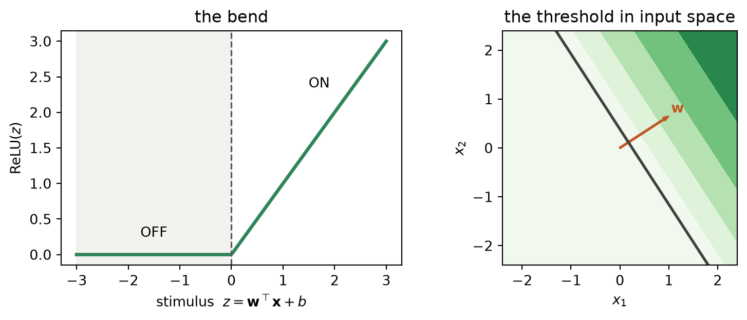 The left panel shows a ReLU response that is zero for negative stimulus and linear for positive stimulus. The right panel shows a two-dimensional neuron's zero-response half-plane and rising positive contours, with the weight vector perpendicular to the threshold boundary.