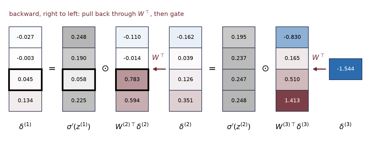 Seven vertical strips of numbers read right to left: the single output sensitivity, its product with the transposed weights, the layer's four sigmoid derivatives in gray, the resulting four-entry sensitivity, and the same three steps again for the first hidden layer. Arrows labeled W transpose join each sensitivity to the next pulled-back strip; equals signs and elementwise-product signs sit between the others. Color fades toward the input. One row is outlined where a derivative near zero shrinks a large pulled-back value.